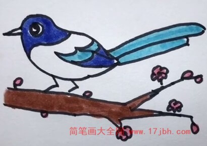 喜鹊简笔画图片彩色 小鸟怎么画简单