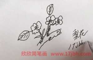 梨花简笔画步骤梨花怎么画简单好看