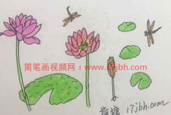 开满荷花的小池塘简笔画