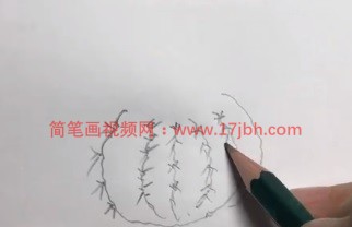 仙人球简笔画