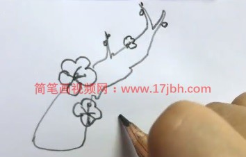 梅花树干简笔画