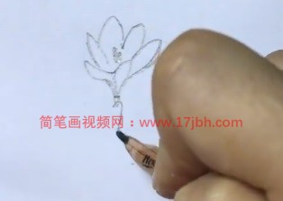 简单的小花简笔画