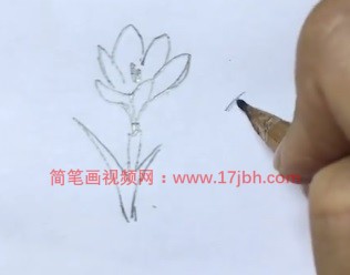 简单的小花简笔画