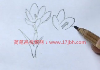 简单的小花简笔画