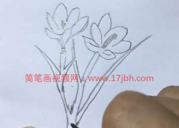 简单的小花简笔画