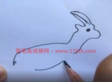 羚羊怎么画简笔画