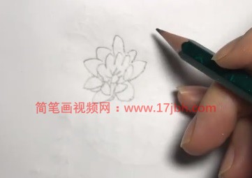 池塘荷花简笔画