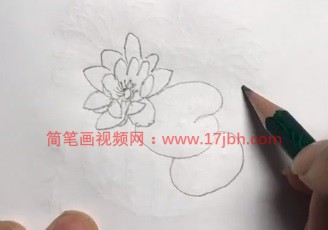 池塘荷花简笔画