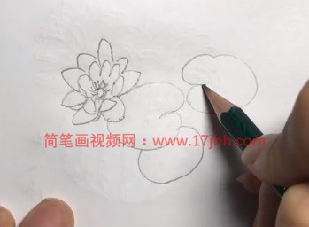 池塘荷花简笔画