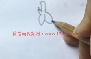 释迦果简笔画