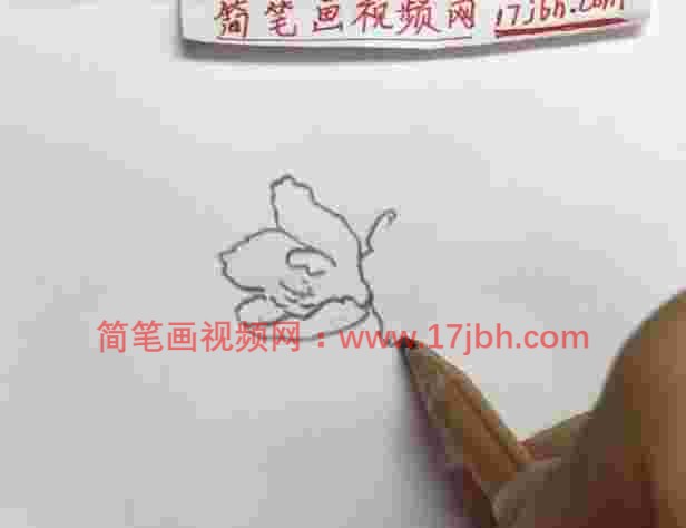 简笔画牡丹花简单