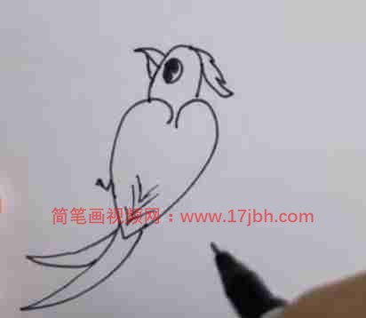 大树小鸟图片简笔画