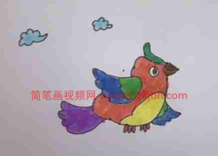 鸟图片简笔画彩色