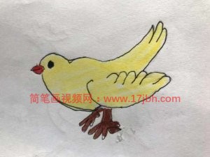 小鸟简笔画图片大全