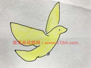 鸽子简笔画