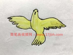 小鸟简笔画