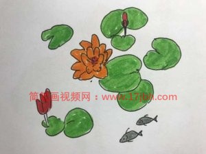 荷花荷叶简笔画图片大全