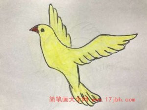 和平鸽简笔画