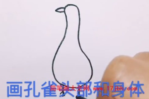 孔雀简笔画带颜色