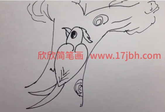 大树小鸟图片简笔画