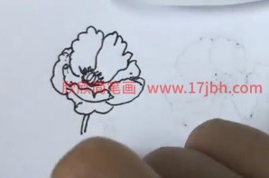 虞美人简笔画