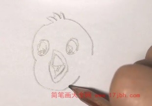 小鸟简笔画涂色