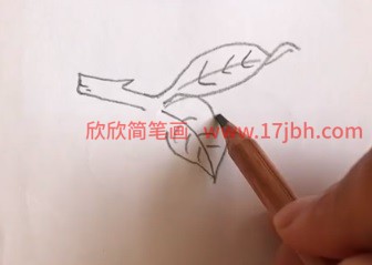 柠檬简笔画图片带颜色