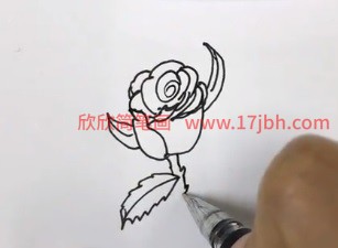 月季花简笔画图片步骤