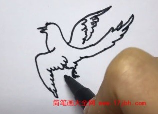 喜鹊和树简笔画