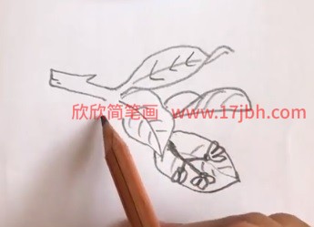 柠檬简笔画图片带颜色