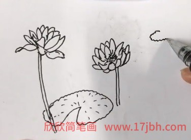 开满荷花的小池塘简笔画