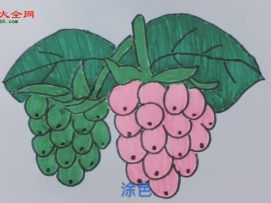 儿童葡萄简笔画