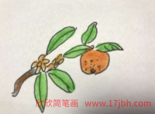 水果大全简笔画