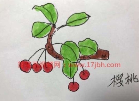 儿童简笔画樱桃树图片