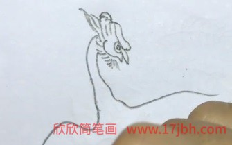 凤凰简笔画简单