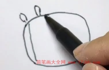 斑马佐伊简笔画