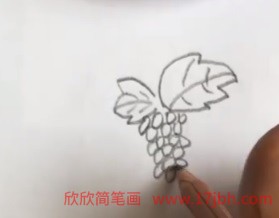 水果篮简笔画图片