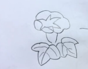 牵牛花花藤简笔画