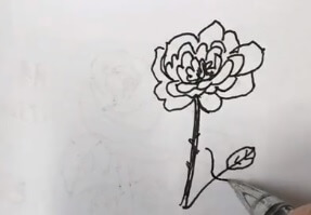 月季花简笔画图片