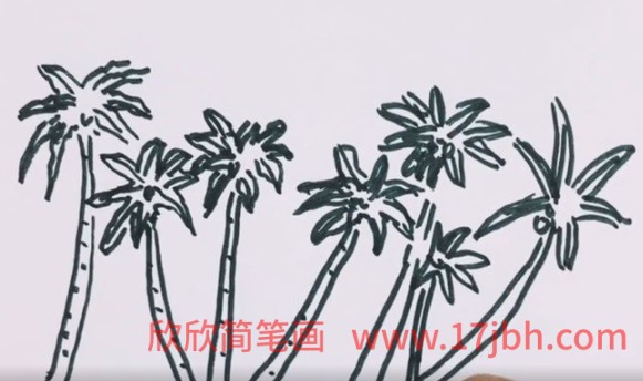 简笔画椰子树