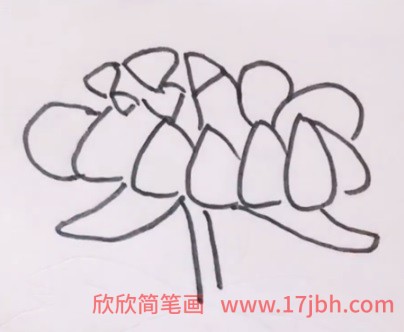 菊花怎么画简笔画