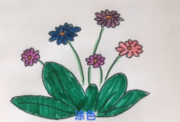 菊花幼儿简笔画