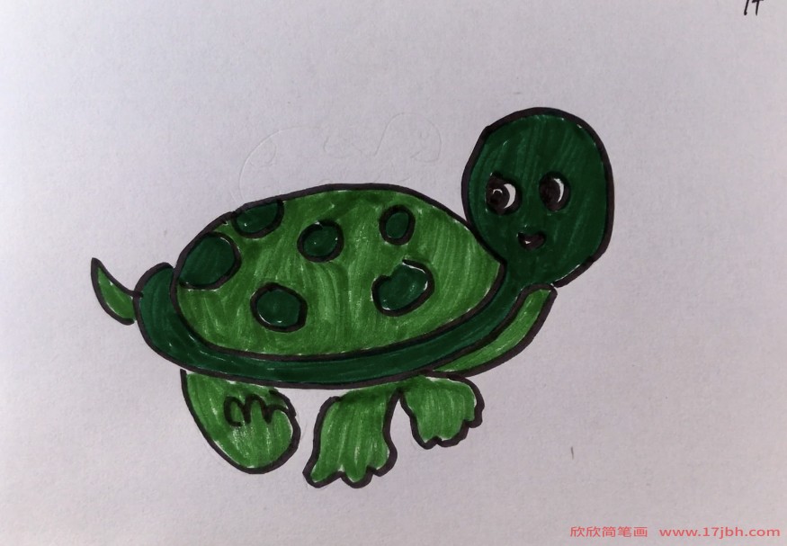 半圆形乌龟简笔画图片