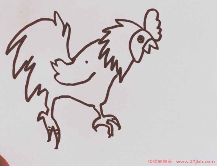 怎么画公鸡简笔画彩色的公鸡怎么画