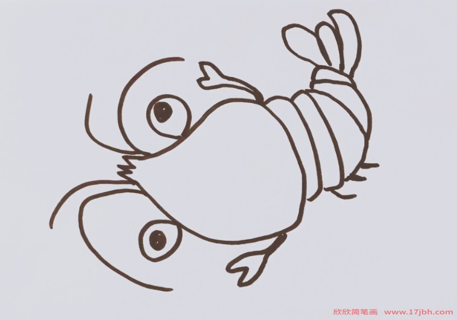 虾简笔画 画法图片