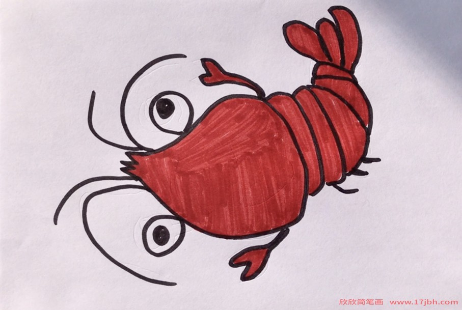 虾画法简易图片