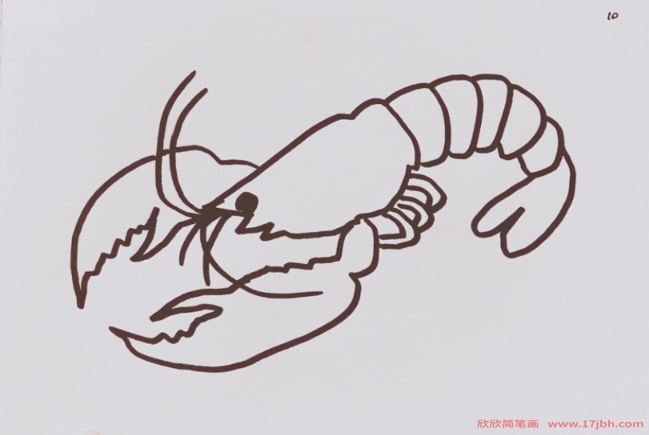 一盘虾的简笔画 简单图片