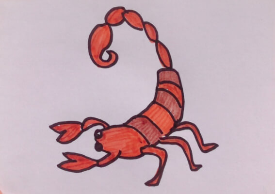 蝎子怎么画简笔画 蝎子的画法