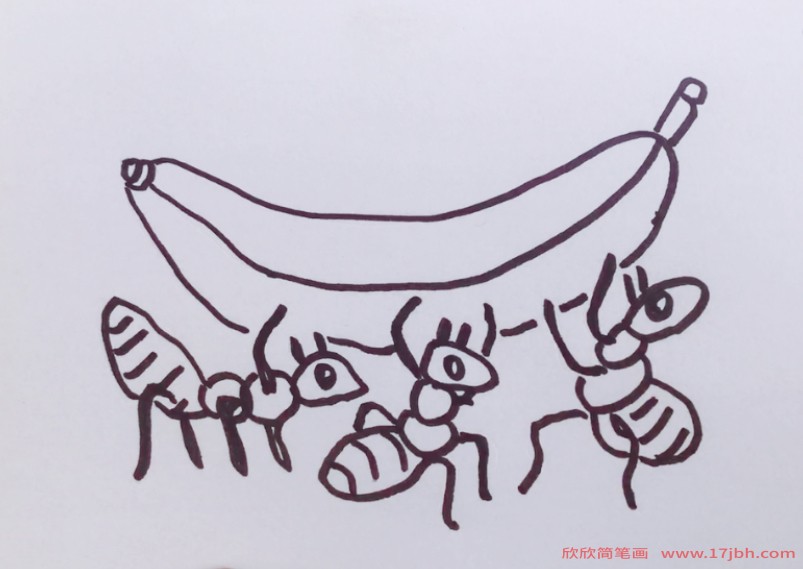 蚂蚁家族成员简笔画图片