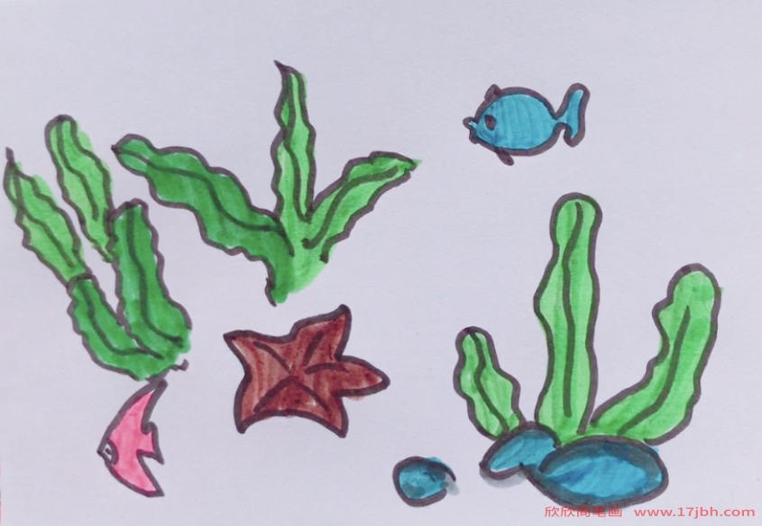 海底植物简笔画画法图片